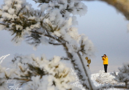 “素颜”额尔古纳：不负冬雪 清白如斯