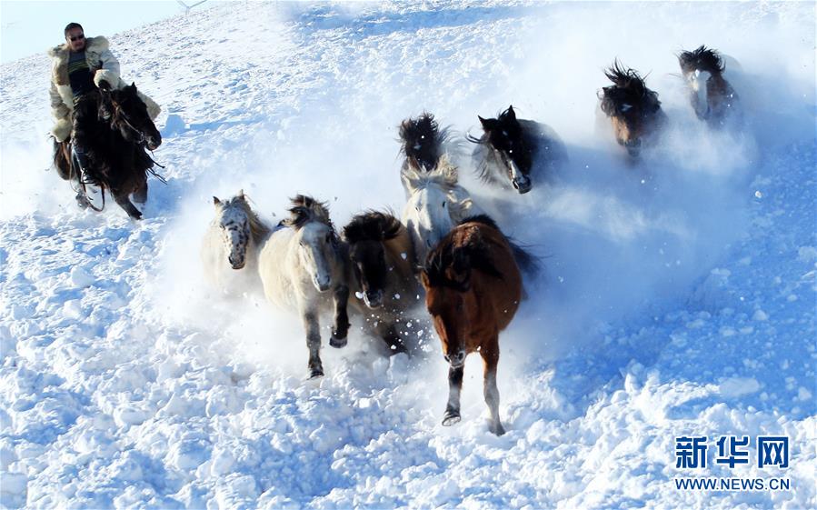 策馬踏雪飛 草原歡樂冬