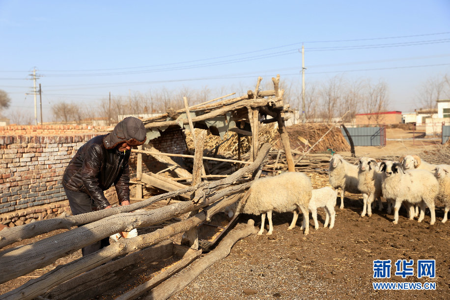 内蒙古：基层党组织以创新党建 助力精准脱贫