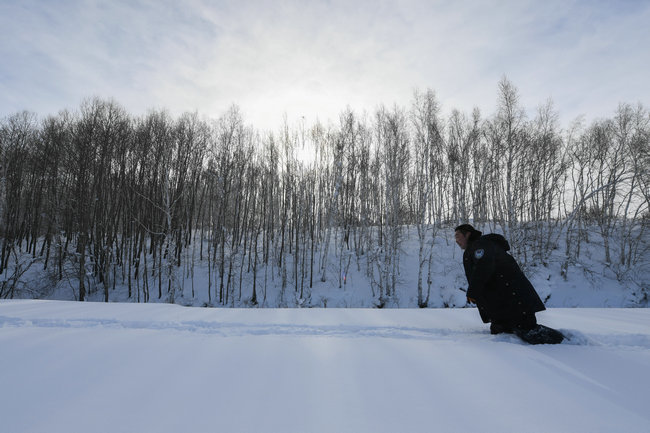 林海雪原猜成语_林海雪原图片