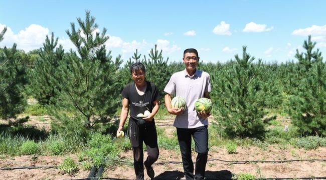 治沙夫妻的幸福生活