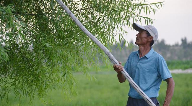 父子造林30年 林进沙退绿富同兴