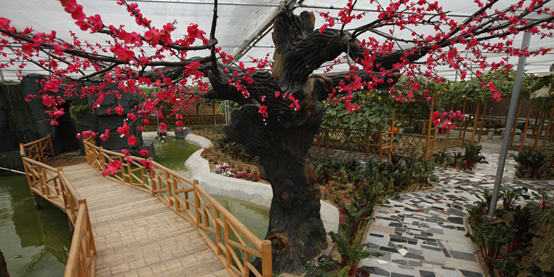 水鏡湖旅遊休閒度假村