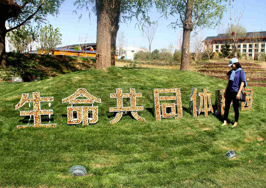 守护风景线 筑绿不动摇——3月草原听“三感”