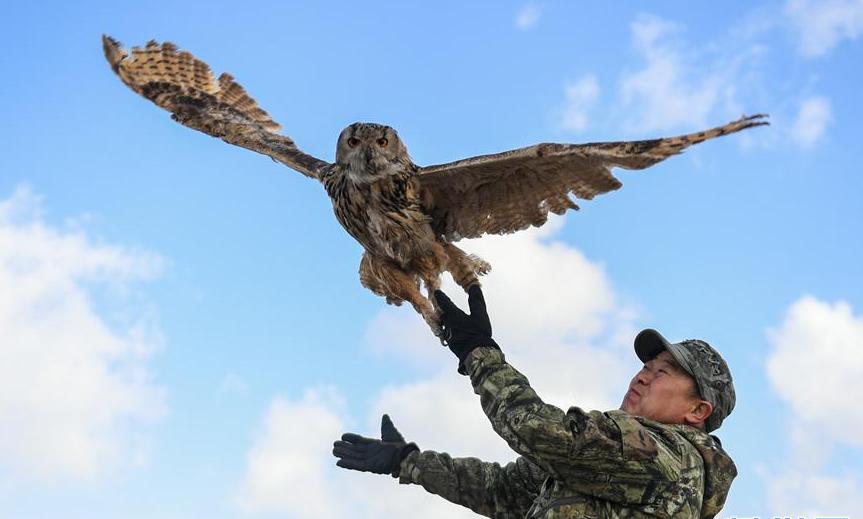 呼倫湖畔的野生動物守護者