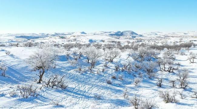 锡林郭勒草原冬日美景