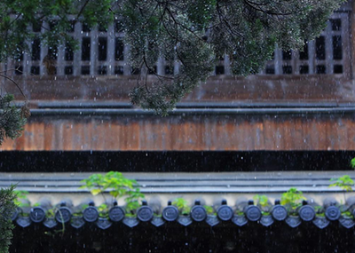 水墨诗意般的烟雨江南