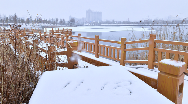 內蒙古多地迎來初冬降雪