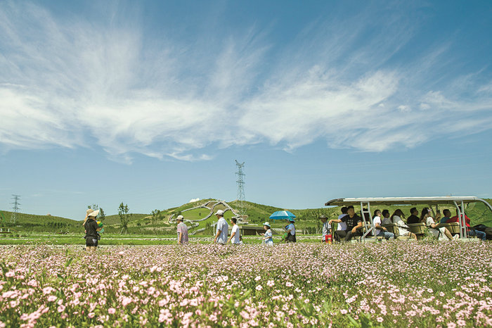 為興安百姓打造天藍水清地綠的寧靜家園——內蒙古興安盟生態環境保護工作紀實