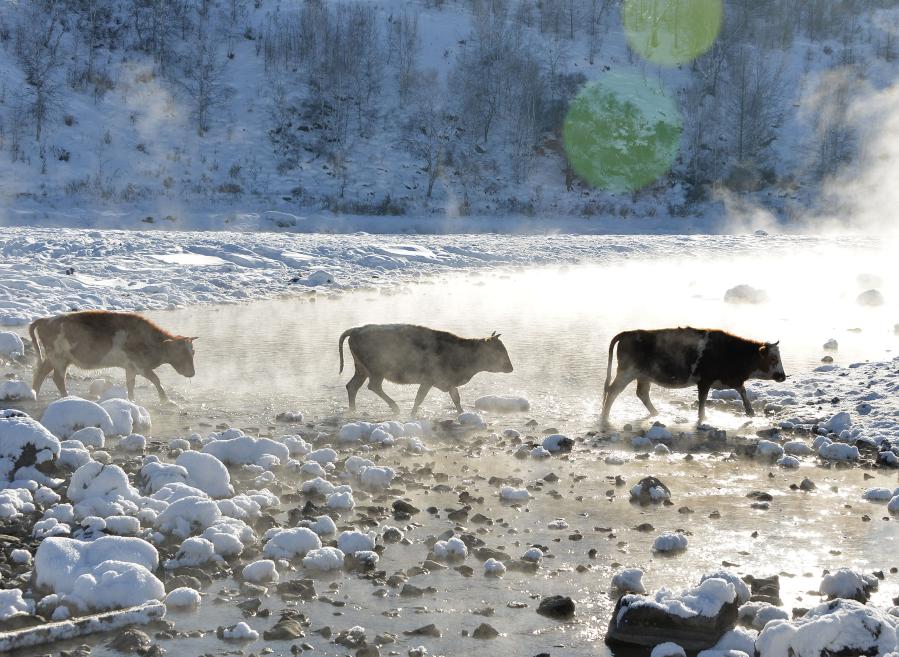 內蒙古阿爾山市新春旅遊迎來“開門紅”