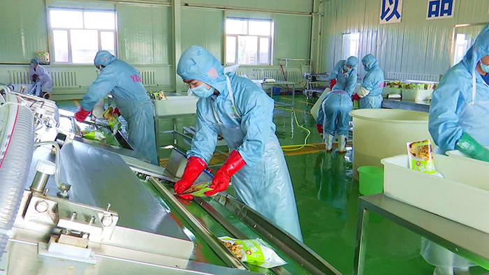 乌拉特后旗：产业化联合体联出新模式 联出新形态 联出新动能