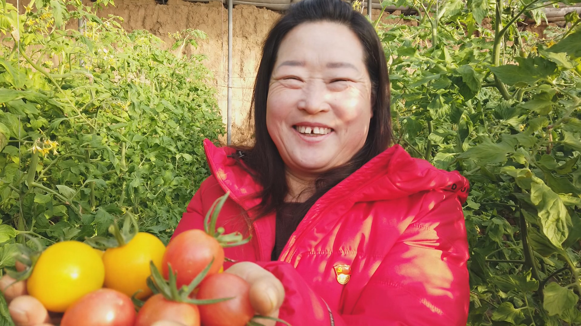徐丽荣:蔬菜大棚里的致富带头人