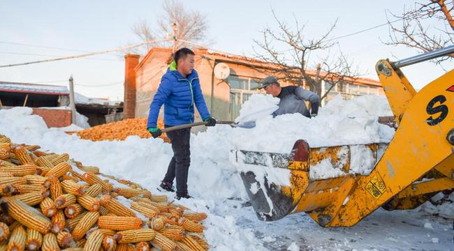 抗击暴雪 内蒙古通辽组织农牧民自救减灾