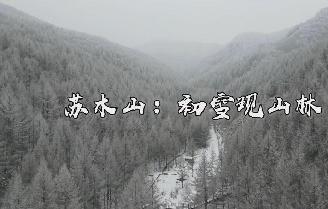 苏木山：初雪现山林