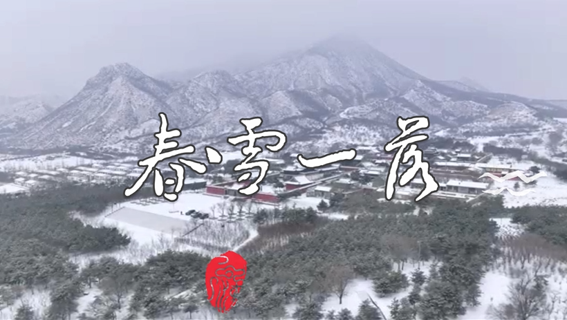 春雪一落，就美成“傾城”的樣子