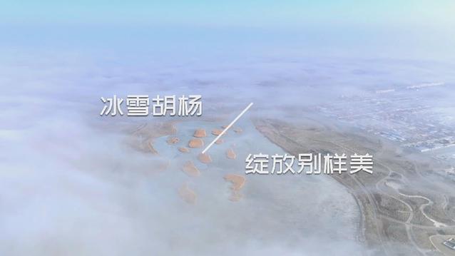 冰雪胡楊 綻放別樣美麗