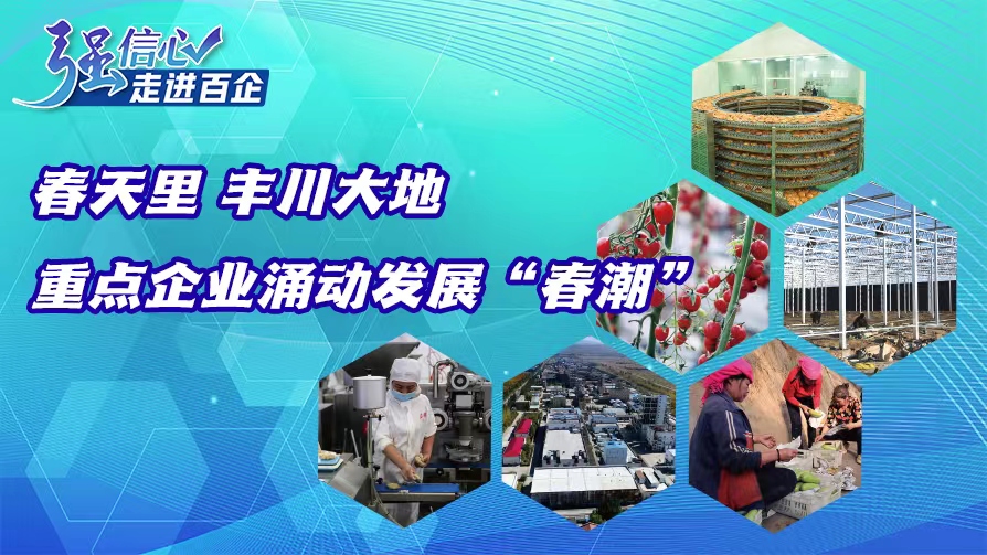 強信心·走進百企｜春天裏，豐川大地重點企業涌動發展“春潮”