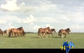 新华网内蒙古频道