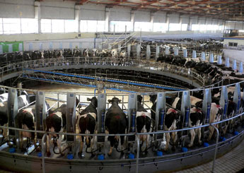 蒙牛乳业124.57亿港元要约收购雅士利