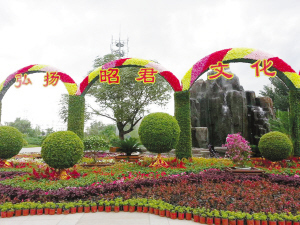 首府“一会两节”氛围浓